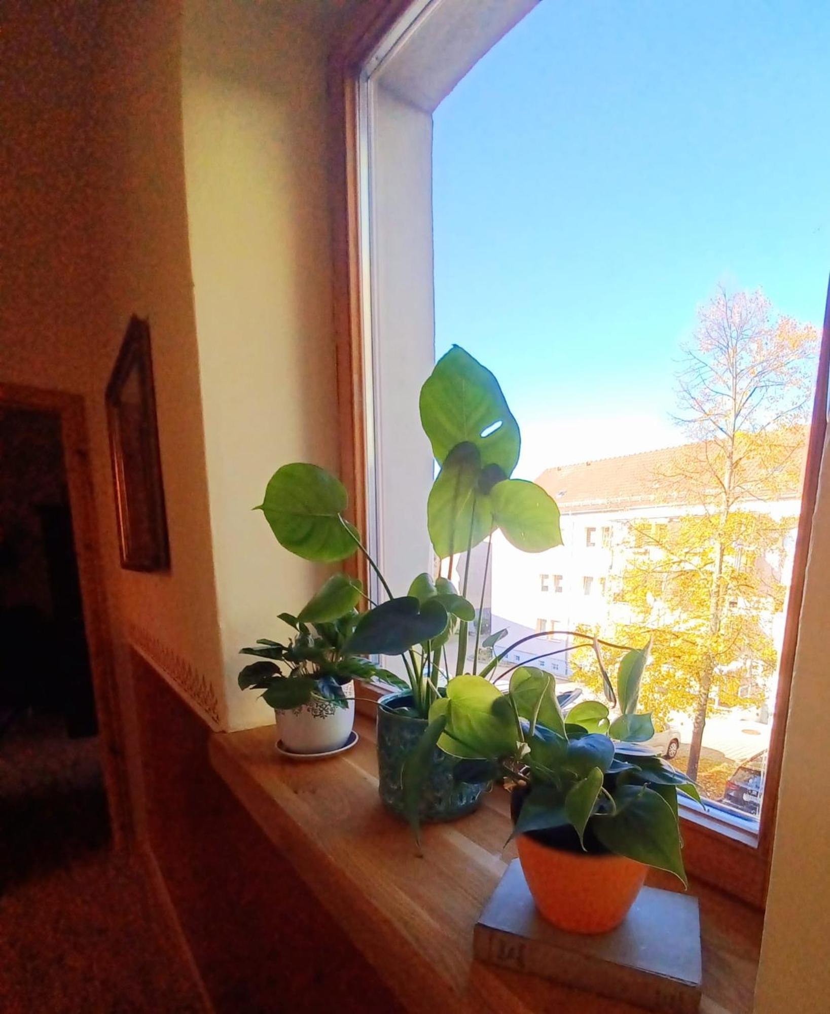 Ferienwohnung Antik ゴータ エクステリア 写真