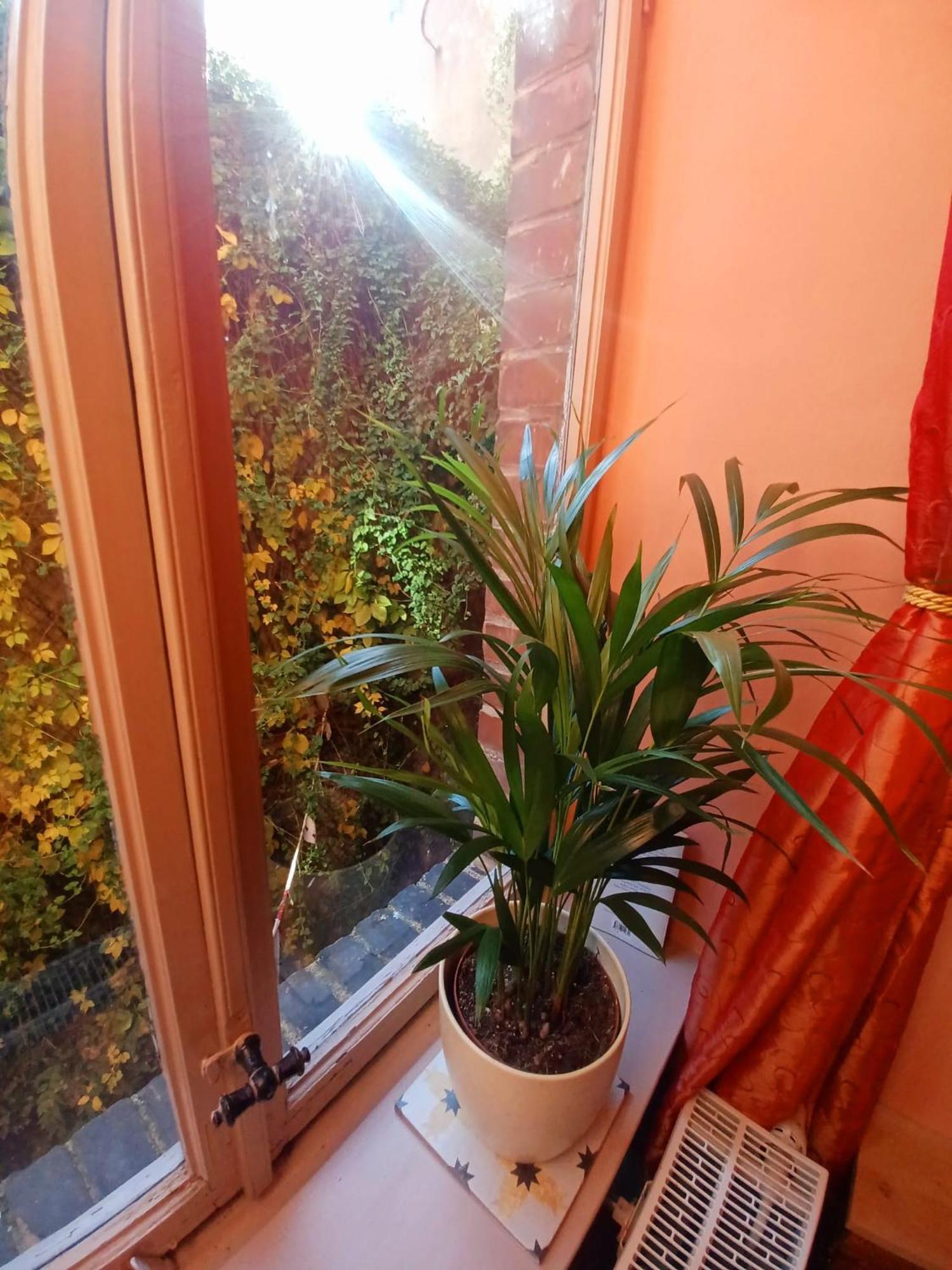 Ferienwohnung Antik ゴータ エクステリア 写真